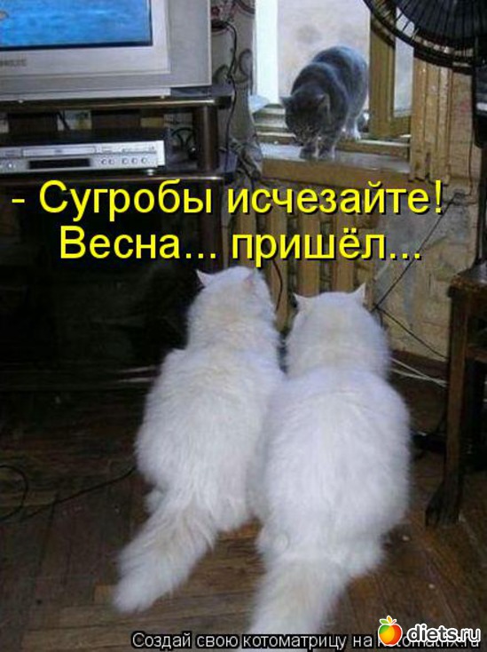 32 ����: ����������� 3