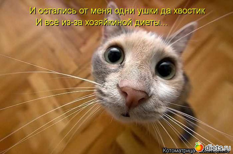 34 ����: ����������� 3