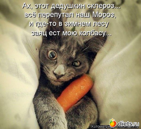 35 ����: ����������� 3