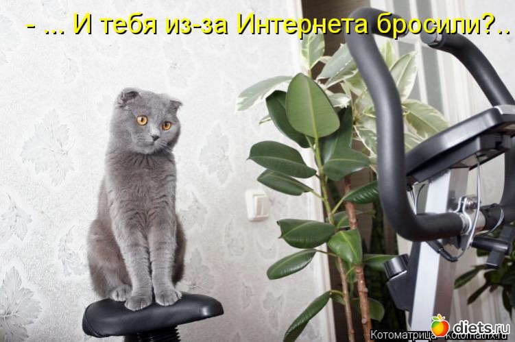 36 ����: ����������� 3