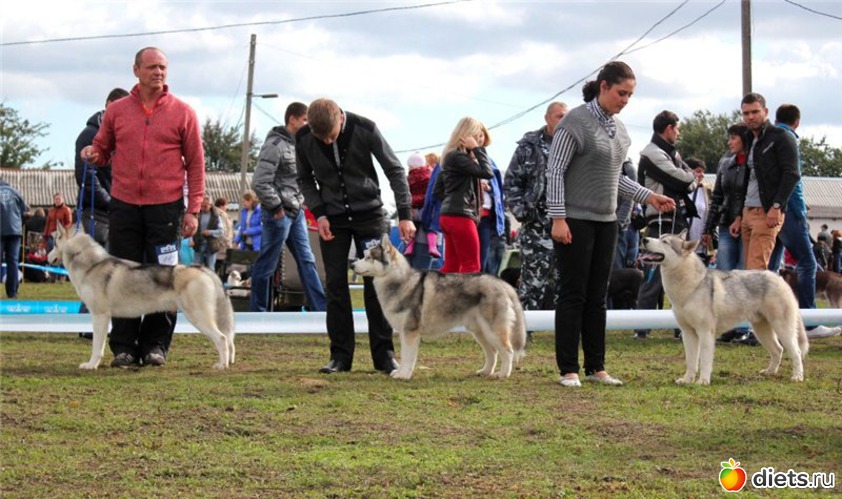 �� ����� ���������, ������: �