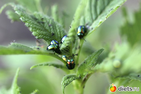 1 ����: ����� ������ ����