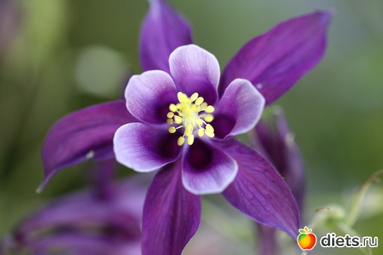 2 ����: ����� ������ ����