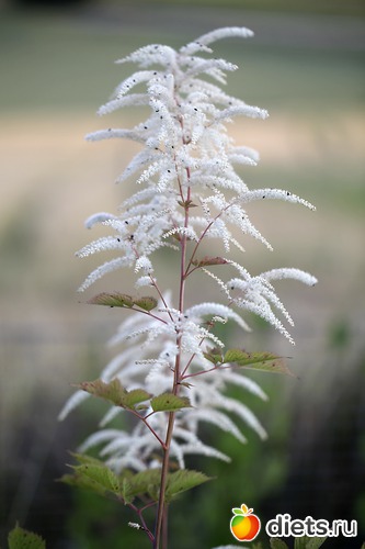 3 ����: ����� ������ ����