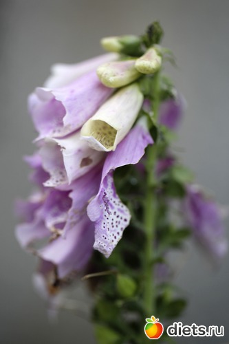 5 ����: ����� ������ ����