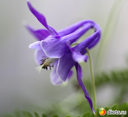 6 ����: ����� ������ ����