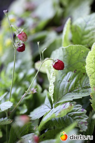 7 ����: ����� ������ ����