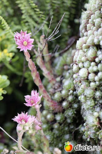 8 ����: ����� ������ ����