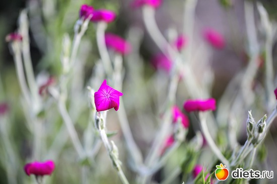 9 ����: ����� ������ ����