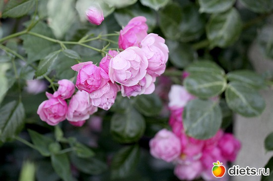 10 ����: ����� ������ ����