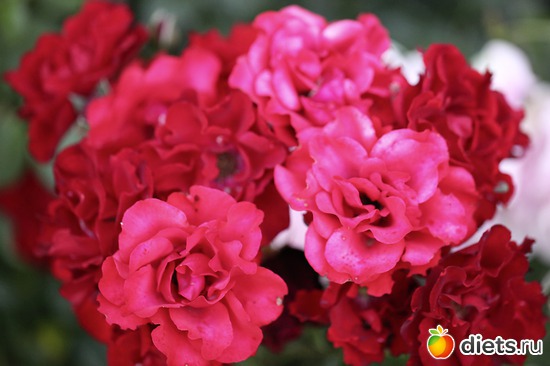 11 ����: ����� ������ ����