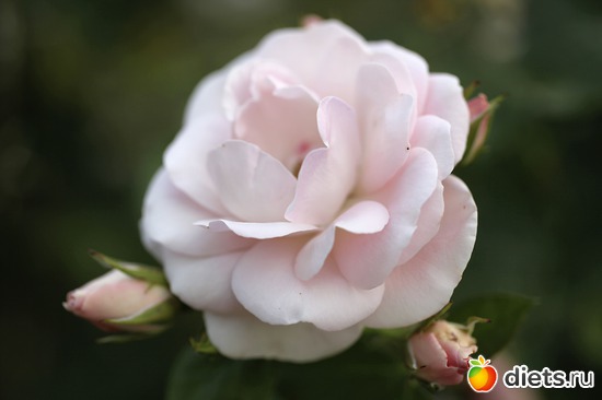 15 ����: ����� ������ ����