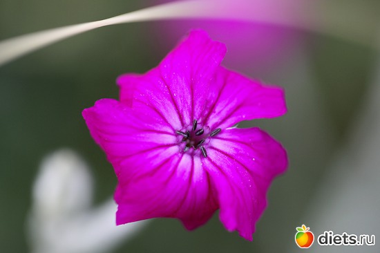 16 ����: ����� ������ ����