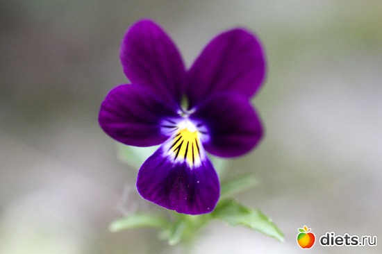 18 ����: ����� ������ ����