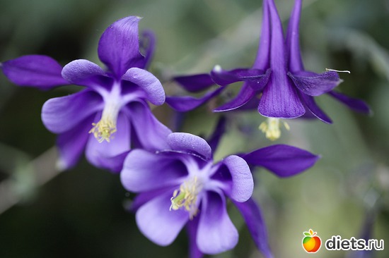 19 ����: ����� ������ ����