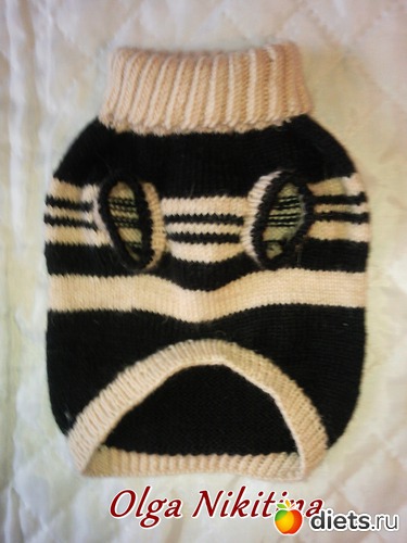 1 ����: ����� ��� �������...��� �����