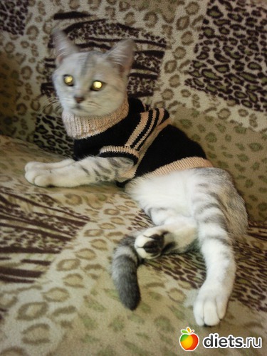 6 ����: ����� ��� �������...��� �����