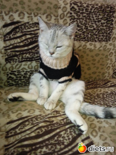 7 ����: ����� ��� �������...��� �����