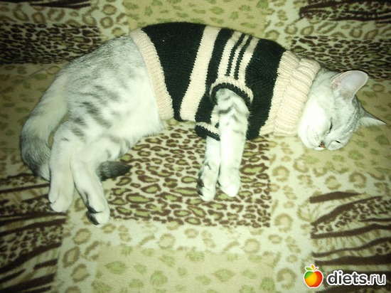 8 ����: ����� ��� �������...��� �����