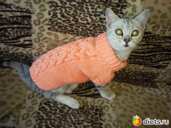 9 ����: ����� ��� �������...��� �����