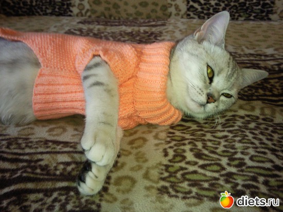 10 ����: ����� ��� �������...��� �����