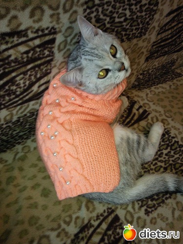 11 ����: ����� ��� �������...��� �����