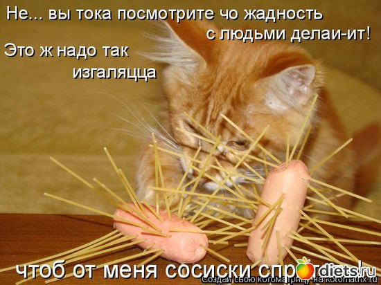 12 фото: глядя на них у меня поднимается настроение)))))))