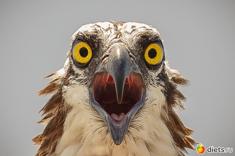 5 фото: глядя на них у меня поднимается настроение)))))))