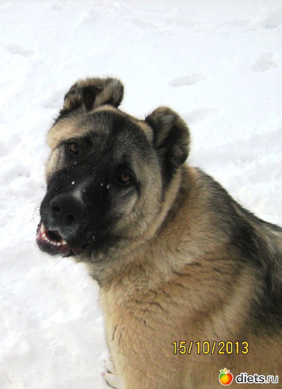 1 ����: ��� ����������!!!!!!!