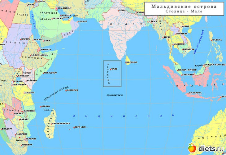 1 ����: �������-����� �� ��������))))