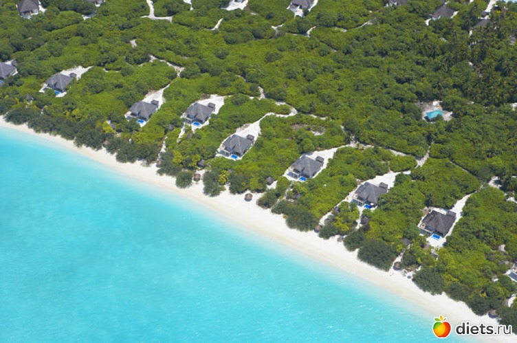 7 ����: �������-����� �� ��������))))