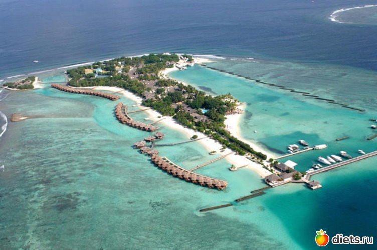 12 ����: �������-����� �� ��������))))