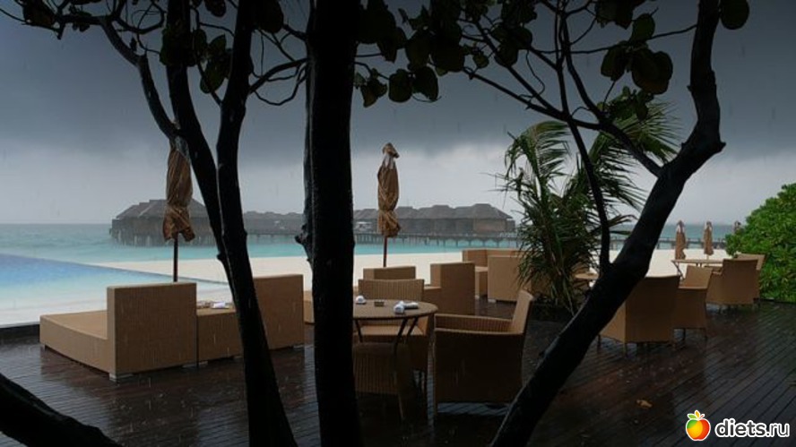 19 ����: �������-����� �� ��������))))