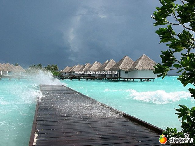 24 ����: �������-����� �� ��������))))