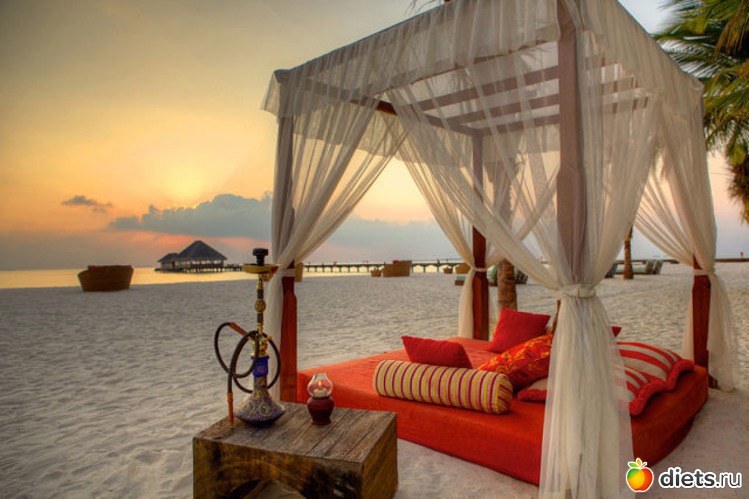 25 ����: �������-����� �� ��������))))