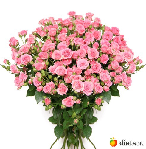 3 ����: �����