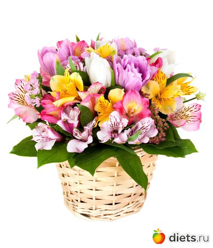 4 ����: �����