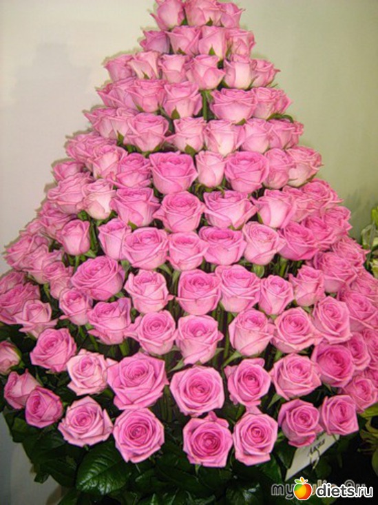 5 ����: �����