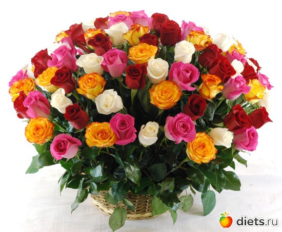 6 ����: �����