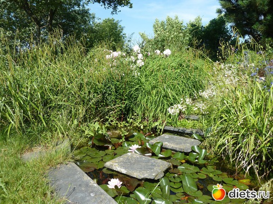 ��� ��������� ������, � ������� ������� ������� �����, ������: ���������