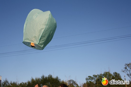 5 ����: �����..