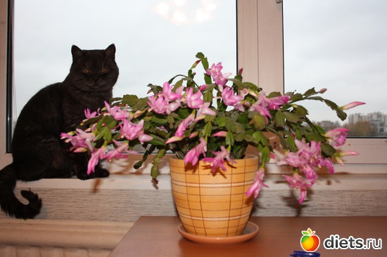 10 ����: �����..