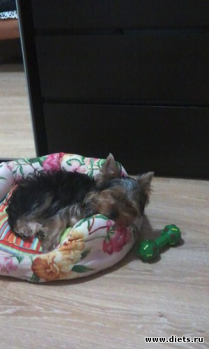 3 фото: Йорк Льювис