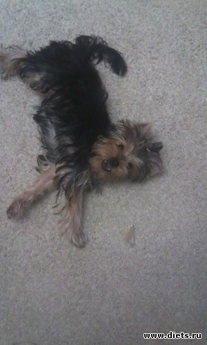 2 фото: Йорк Льювис