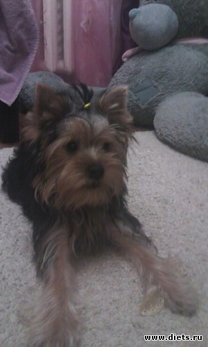 1 фото: Йорк Льювис