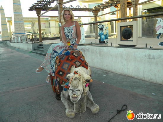 8 ����: ��� �����