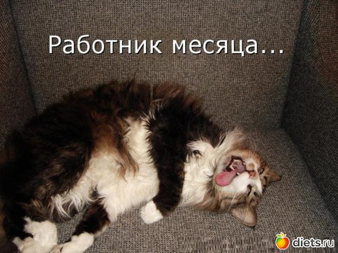 1 ����: ��� ���� ��-��������