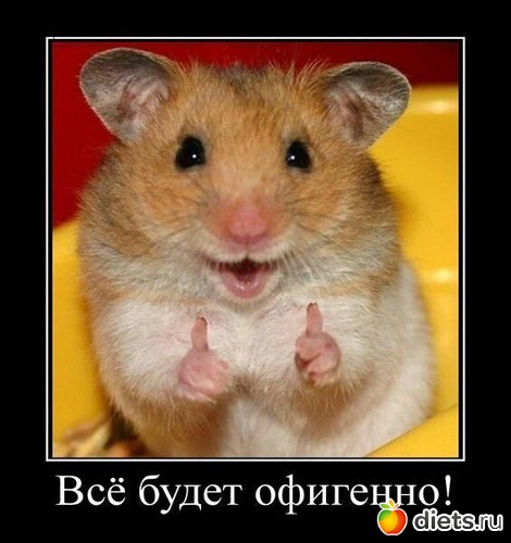 3 ����: ��� ���� ��-��������