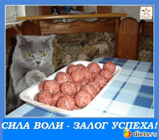 5 ����: ��� ���� ��-��������