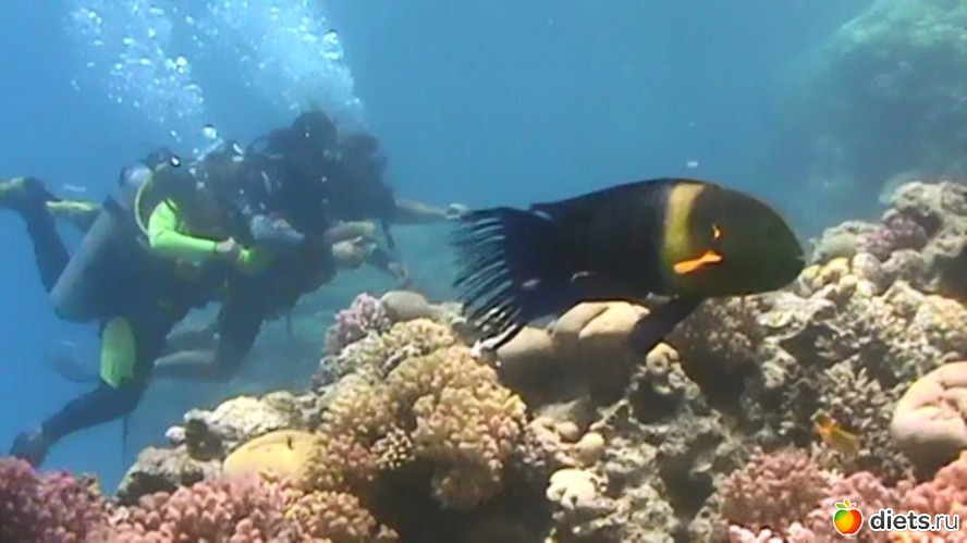 13 ����: ��� �����